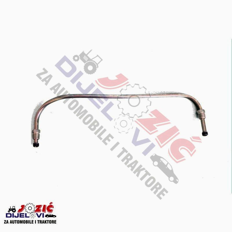 Daisy on the Ohoopee